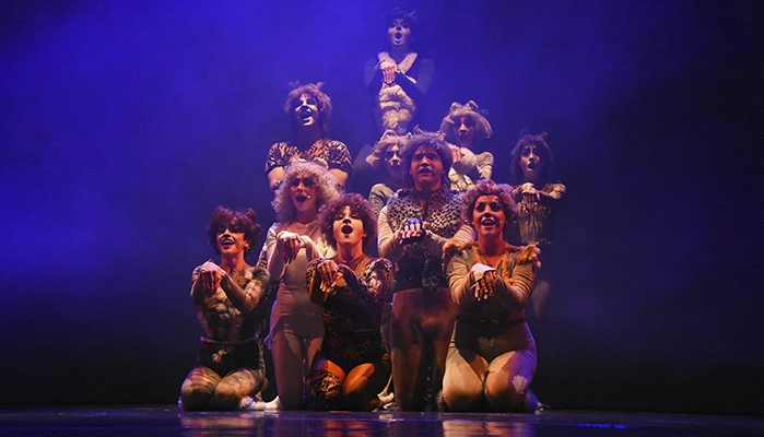 Academia de Baile Karen Connolly - cats b