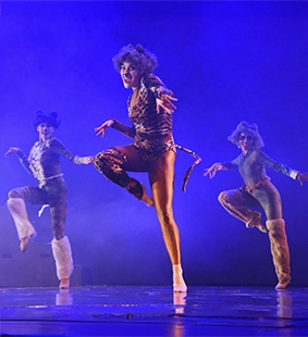 Academia de Baile Karen Connolly cats